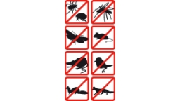 noanimals8.jpg