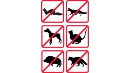 noanimals.jpg