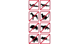fg015_animals.jpg