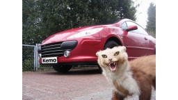 kemo_marder_vorauto_800x.jpg